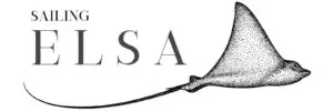 elsa logo gennemsigtigt